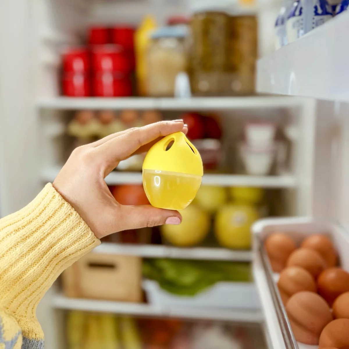 elimina olores de la nevera