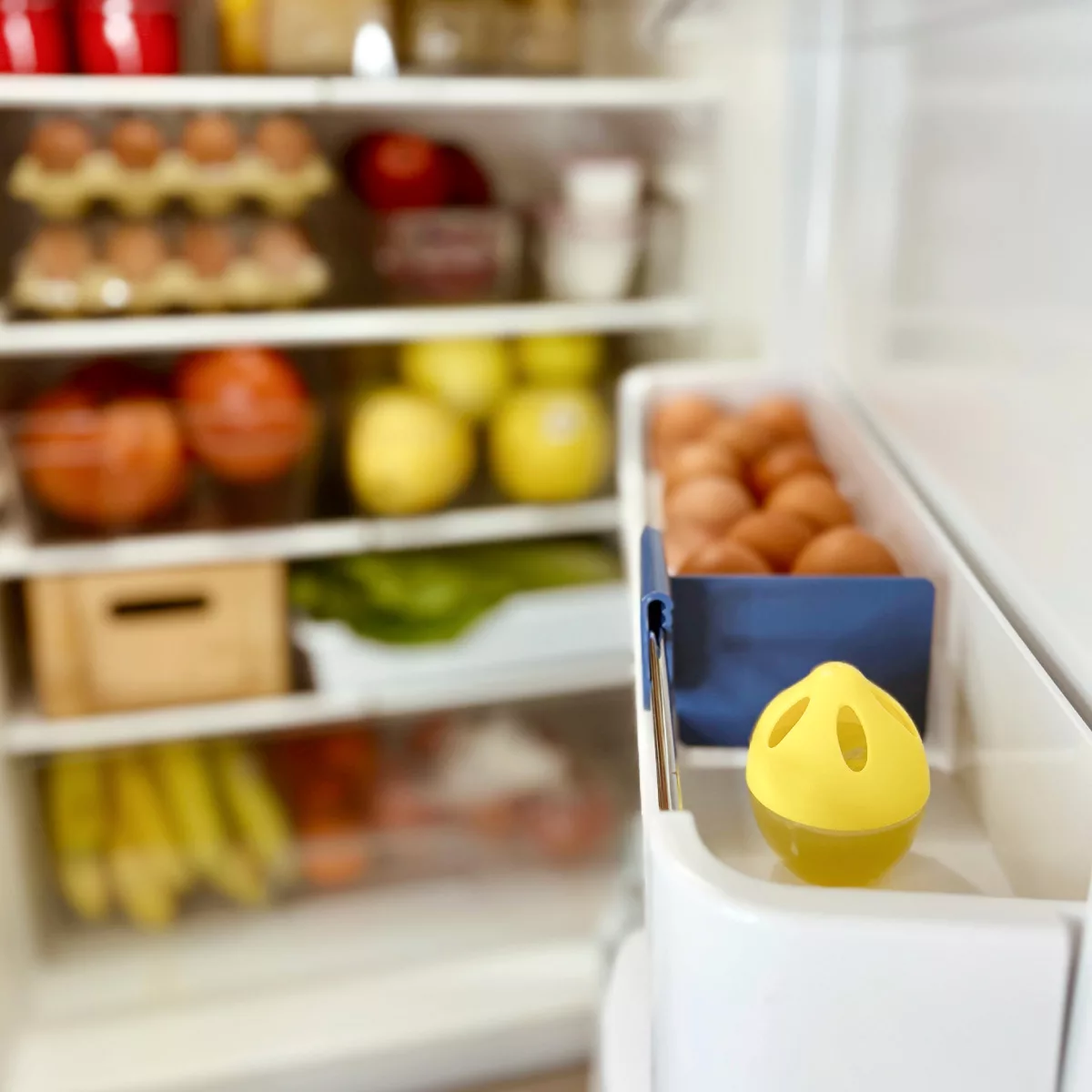 Elimina olores frigorifico