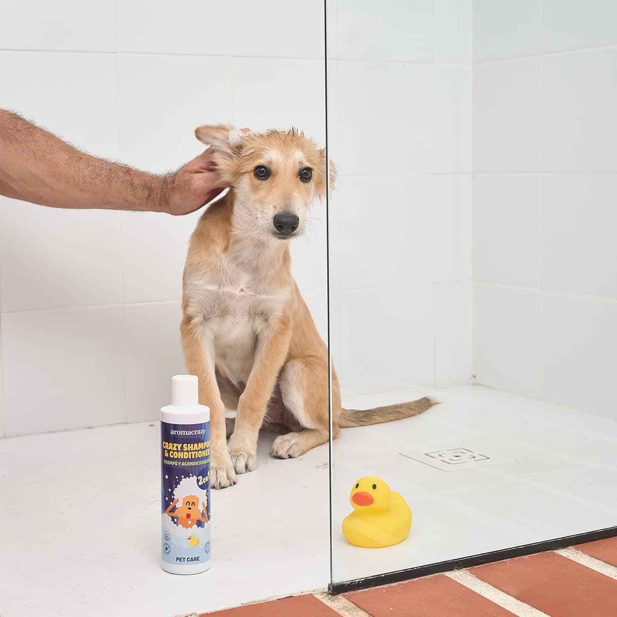 Champú + Acondicionador PetCare 300ml - Vista 4