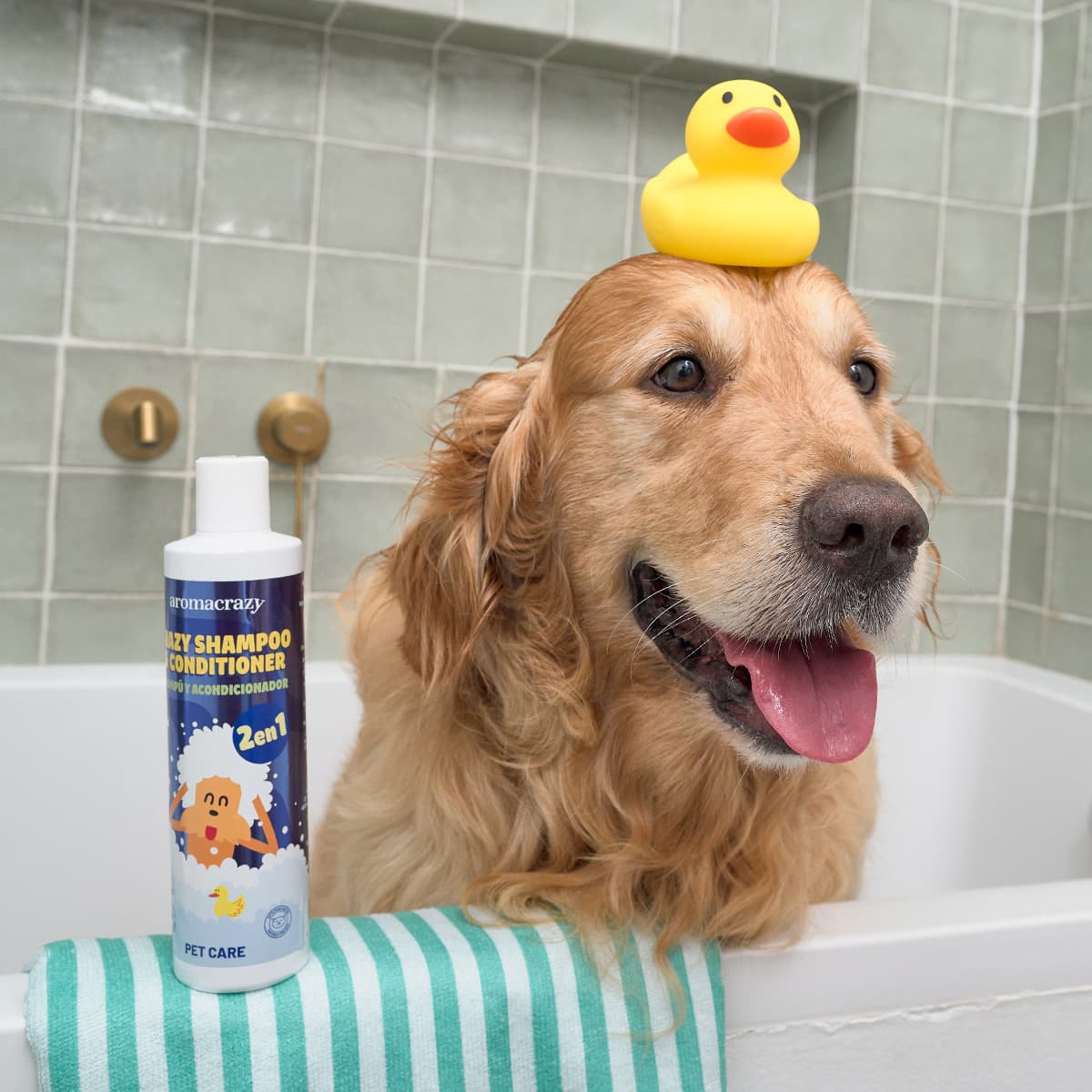 Champú + Acondicionador PetCare 300ml - Vista 2