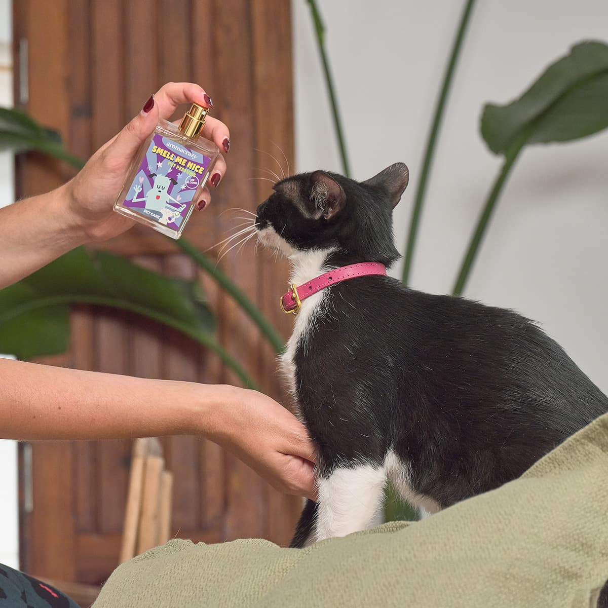 Eau de Toilette Fresh Raspberry PetCare - Vista 2