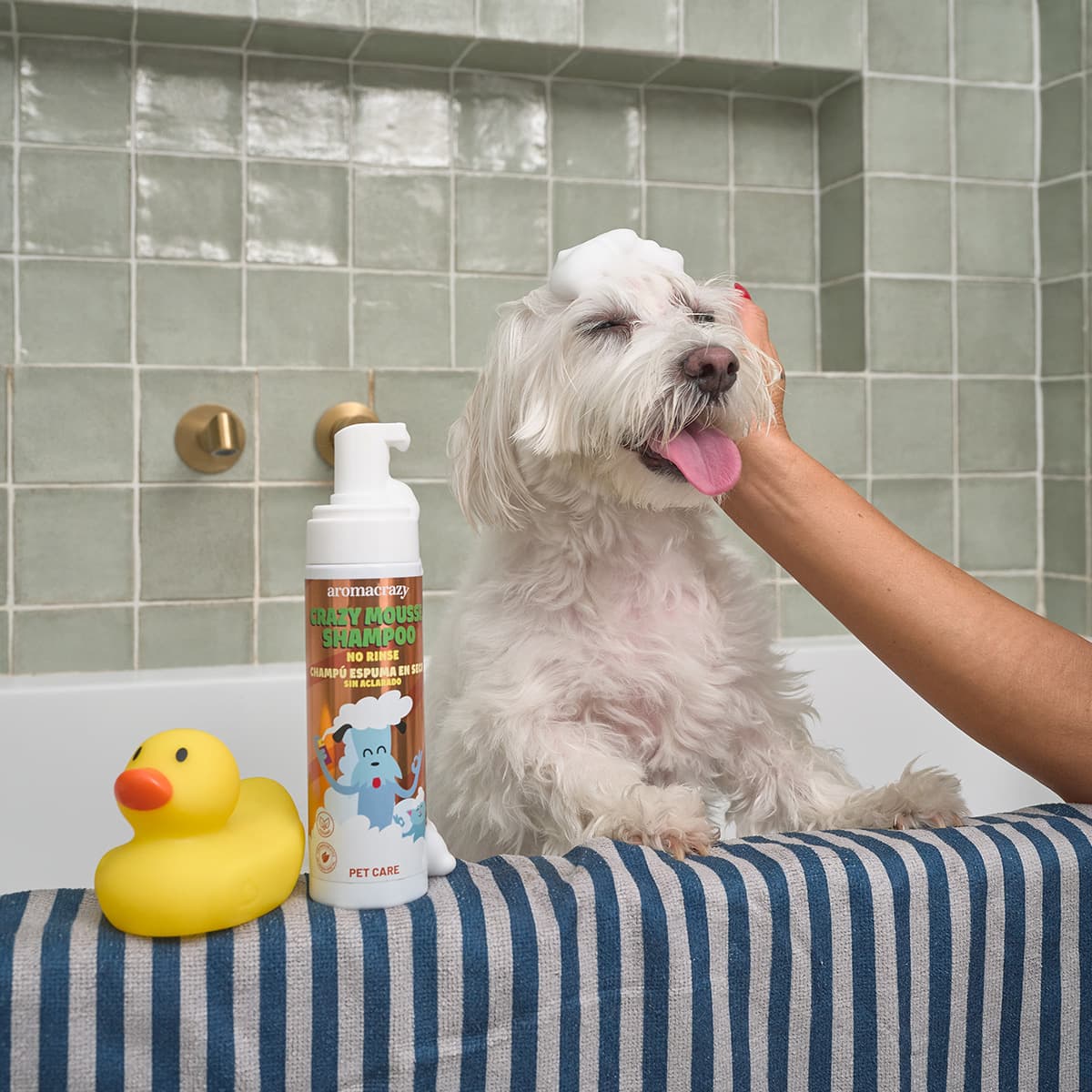 Champú Espuma en Seco Petcare 200ml - Vista 4