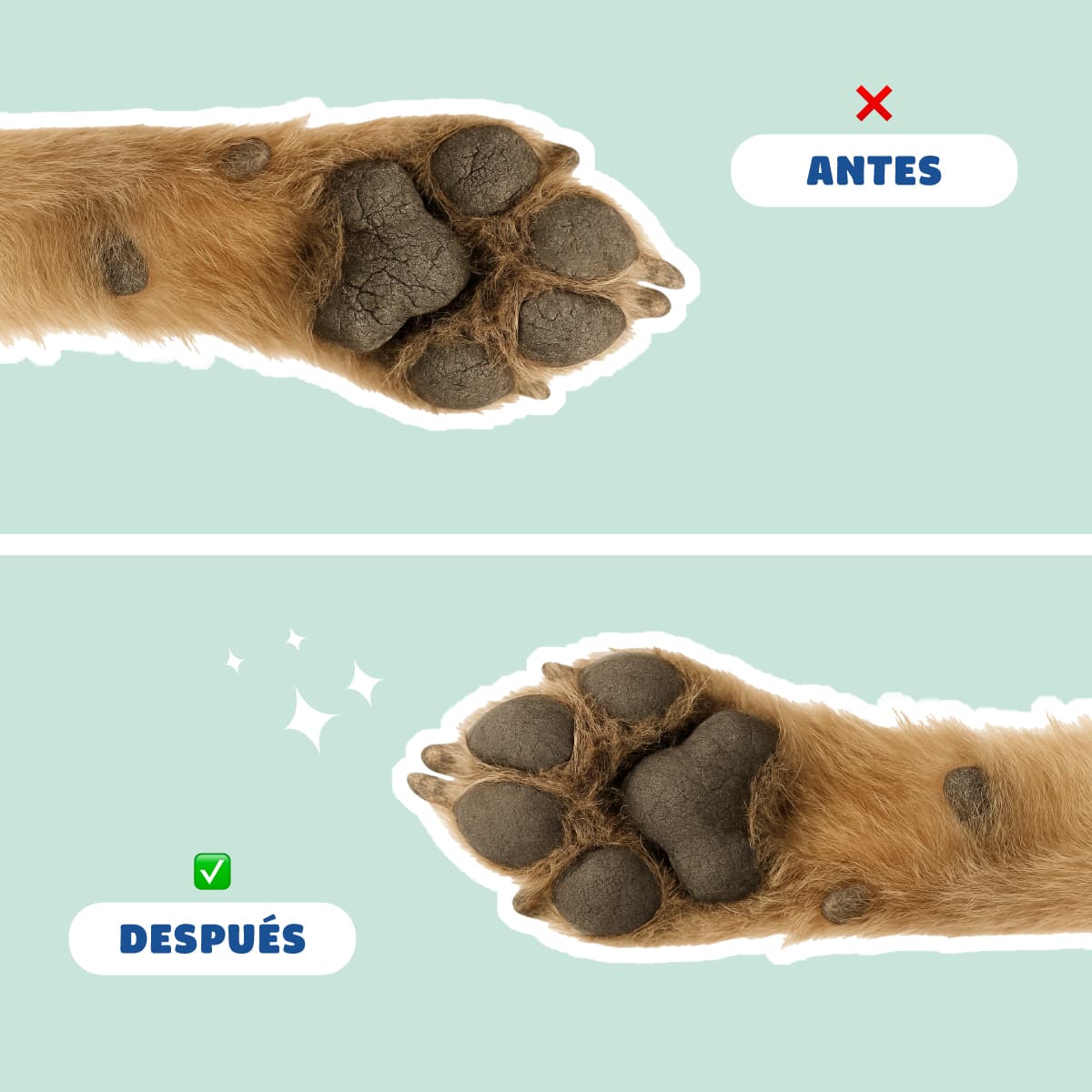 Protector Almohadillas Hocico PetCare 100ml - Vista 5